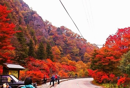 エコツアーガイド同行 紅葉の面河渓と古岩屋ウォーク 穴吹四季の旅 あなぶきトラベル エコツアーガイド同行 紅葉の面河渓と古岩屋ウォーク 穴吹四季の旅 あなぶきトラベル