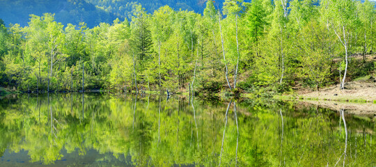 ~GWおすすめ特集~