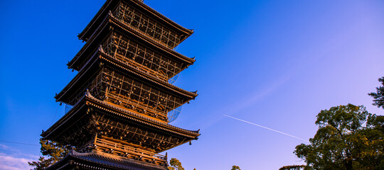 花へんろ 巡礼の旅