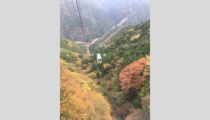 秋色に染まる石鎚山ロープウェイ