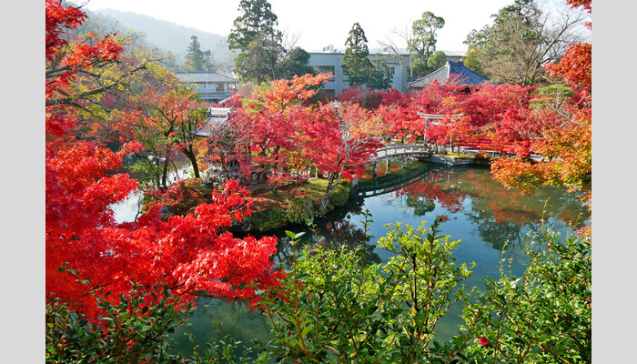 京都屈指の紅葉名所もみじの永観堂・昨年オープン!ヒルトン京都でランチバイキング