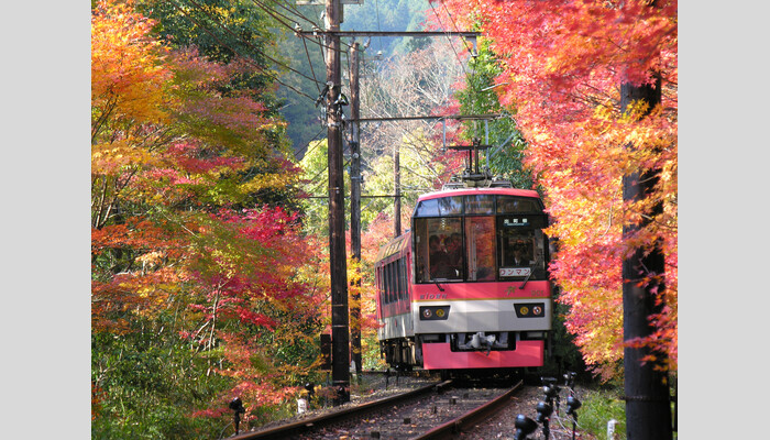 貴船もみじトンネル列車