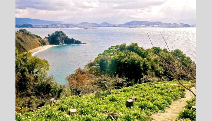 海を臨む道 ゆったり 興居島ウォーク