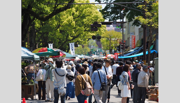 土佐の日曜市・ひろめ市場