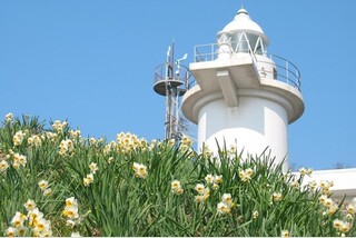 せとうち島ウォーキング北木島白石島