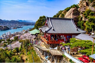 \しまなみ海道の絶景桜ハイライト/尾道千光寺と耕三寺桜まつり