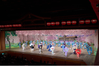 お茶席付き一等席で観る!第152回公演都をどり