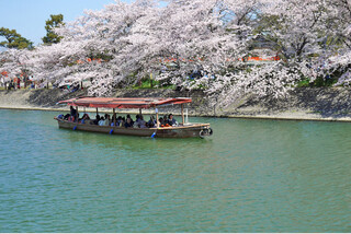 宇治川お花見遊覧めぐり・世界遺産醍醐寺