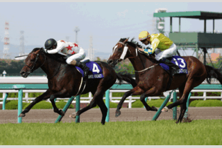 はじめての競馬体験in阪神競馬場