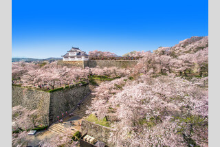 おかやま春の7大スペシャル