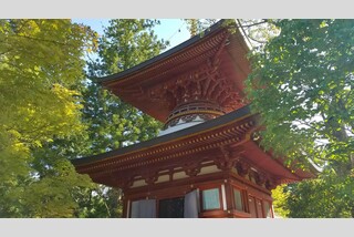 山﨑先生徹底解説!日本史入門シリーズ「国宝」巡り 【第3回】技術別に仏像を巡る②