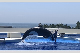 神戸須磨シーワールド