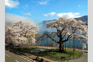 化粧室付き夢紀行号で行く!春を彩る2大名桜と厳選グルメ「飛騨牛・鮑・飛騨とらふぐ」