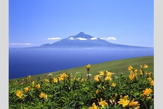 【高松⇔稚内直行便】FDAチャーター機で行く!宗谷岬・利尻島・礼文島3日間