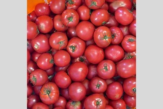 にこ淵とシュガートマトの世界