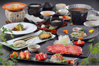 化粧室付き夢紀行号で行く!飛騨の味覚と名湯ゆったり旅「飛騨牛」「鮑」「飛騨とらふぐ」