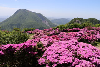 気ままにひとり旅 バス席1人2席利用 九州初夏の絶景グルメ旅