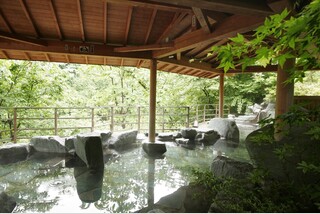 名湯かみのやま・穴原温泉に泊まる!蔵王・磐梯・那須3大高原リゾートと山形さくらんぼ狩り食べ放題