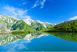 絶景美と高山植物を堪能!白馬五竜高山植物園と白馬八方尾根