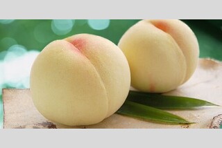 \農園でいただく/ 冷え♪冷え♪清水白桃食べ放題