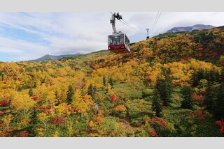 【帯広→高松FDAチャーターらくらく直行便2時間10分!】日本一早い紅葉の大雪山旭岳ロープウェイと煌めく積丹ブルーを訪ねて