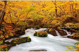 みちのく紅葉ベストハイライト10景&秘湯「酸ヶ湯温泉」名湯「花巻温泉」湯めぐり紀行