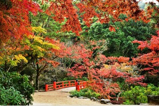 紅葉の世界遺産「宮島・厳島神社」