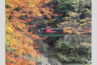 ベストシーズンに行く!紅葉の嵯峨野トロッコ列車
