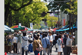 高知の日曜市
