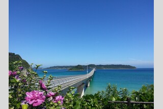 一度は行きたい!青の絶景とご当地グルメ旅
