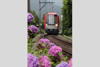 2泊とも名湯に泊まる!箱根2大遊覧とあじさい紀行