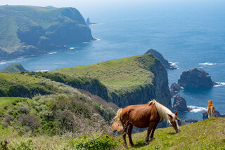 JAL利用【伊丹空港発着】神秘の島「隠岐の島」3島めぐり