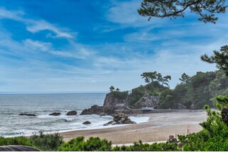 常夏の楽園!高知うまいもの探し~夏の高知グルメ5大スポット巡り~