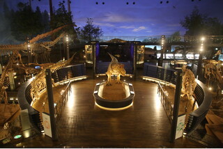 世界3大恐竜博物館にたっぷり約2時間ご滞在 福井県立恐竜博物館と化石発掘体験