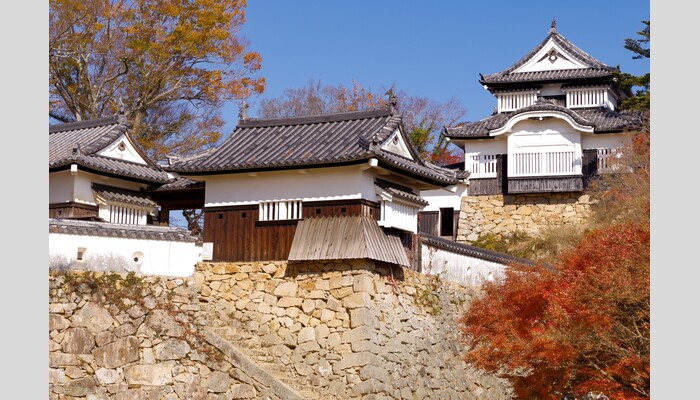 関本先生が徹底解説!超入門・戦国武将ゆかりの名城巡り⑥戦国の世に翻弄された岡山2名城を歩く!