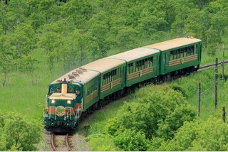 夏の北海道鉄道横断たび!引退間近の「くしろ湿原ノロッコ号」