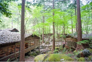 みたき園で季節の山菜料理