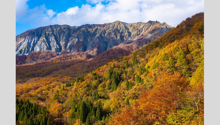 紅葉の大山・蒜山ドライブウェイ