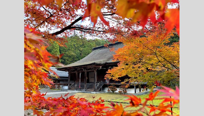 錦秋の湖東三山と八幡堀めぐり