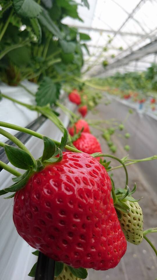 %E3%82%A4%E3%83%A1%E3%83%BC%E3%82%B8