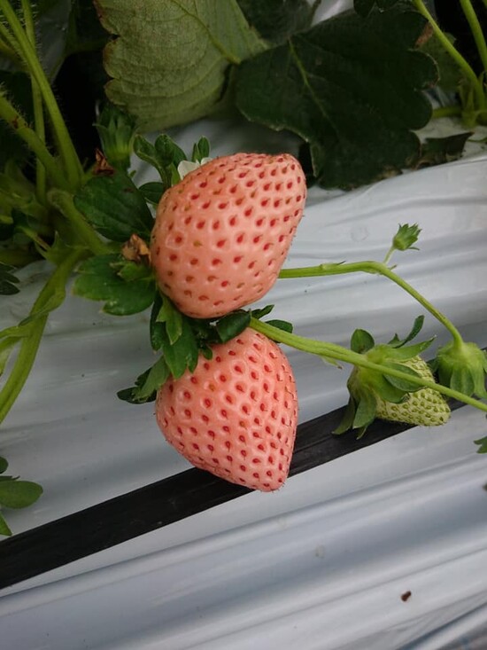 %E3%82%A4%E3%83%A1%E3%83%BC%E3%82%B8