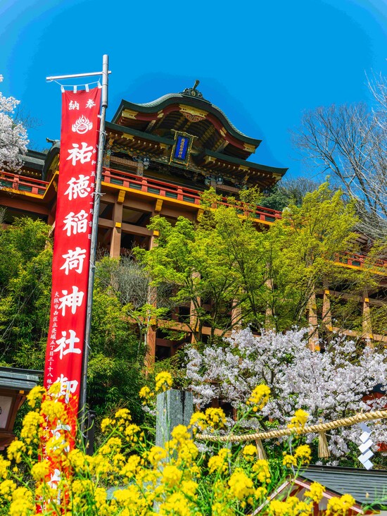 %E3%82%A4%E3%83%A1%E3%83%BC%E3%82%B8