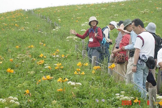 %E3%82%A4%E3%83%A1%E3%83%BC%E3%82%B8