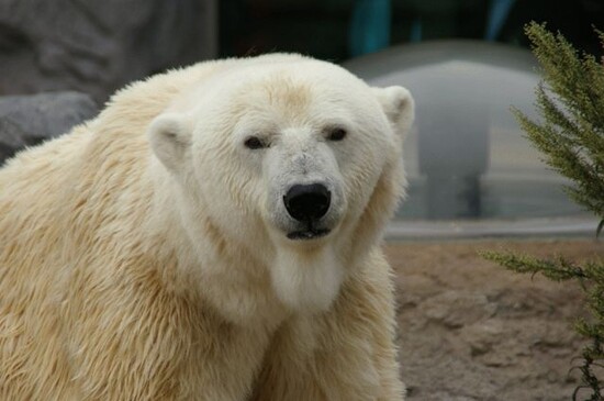 %E3%82%A4%E3%83%A1%E3%83%BC%E3%82%B8